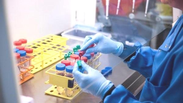 Oxford Üniversitesi yeni Ebola aşısının denemelerine başladı